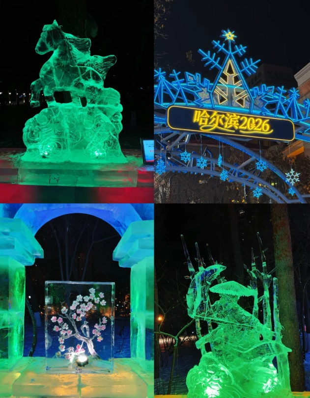 heilongjiang english speaking guide