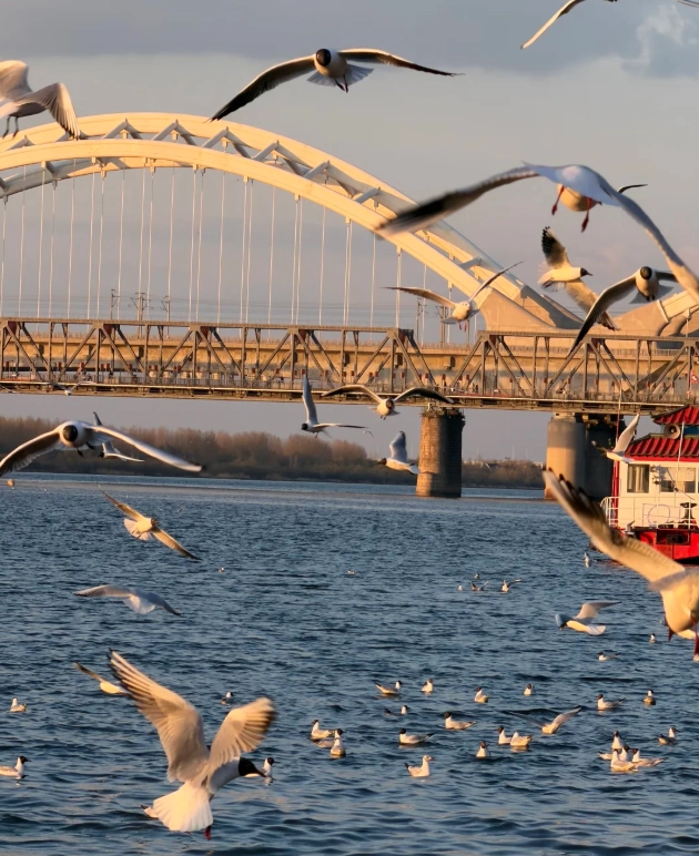heilongjiang autumn itinerary heilongjiang autumn itinerary