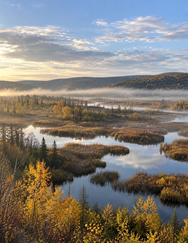 northeast china fall foliage northeast china fall foliage