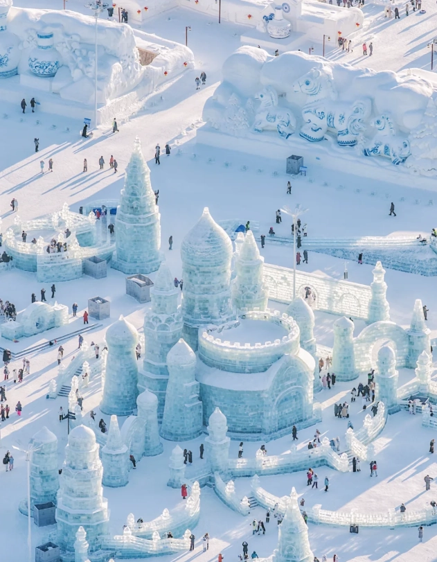 heilongjiang english speaking guide