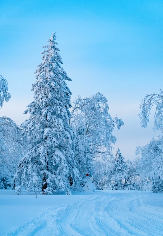Heilongjiang winter travel tips Heilongjiang winter travel tips