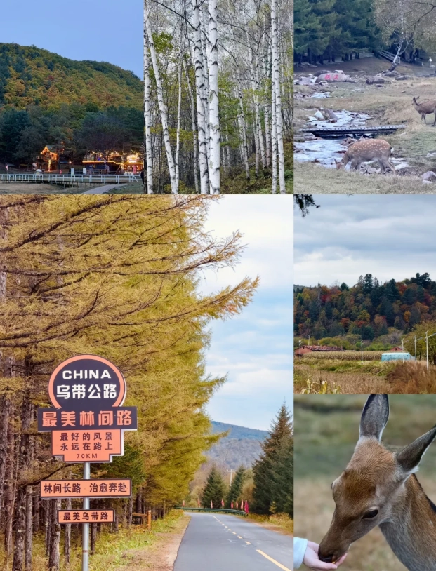 Heilongjiang travel tips