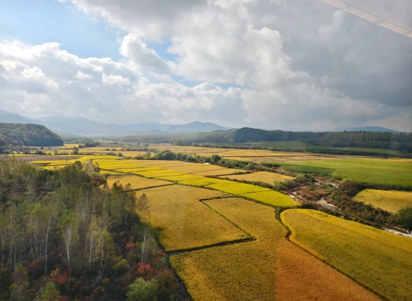 China high speed train for foreigners