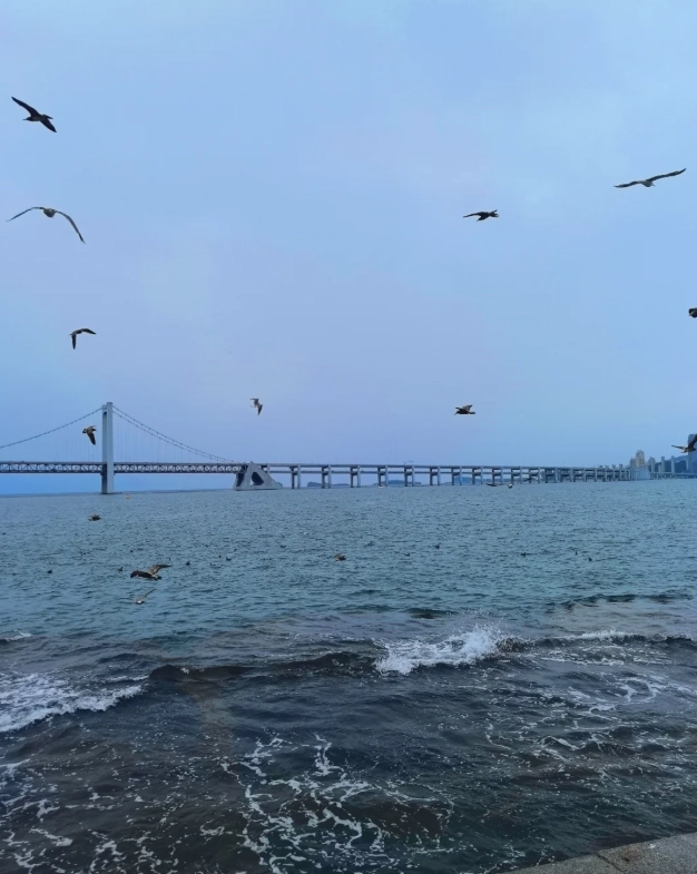 Northeast China winter travel Northeast China winter travel