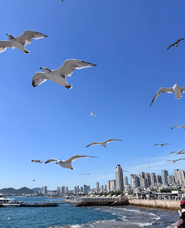 Liaoning itinerary