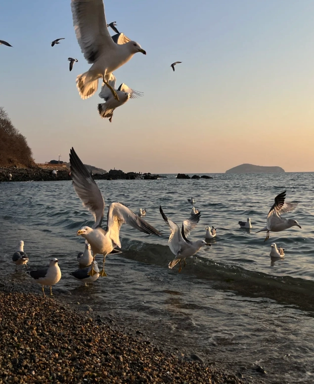 Dandong day trip