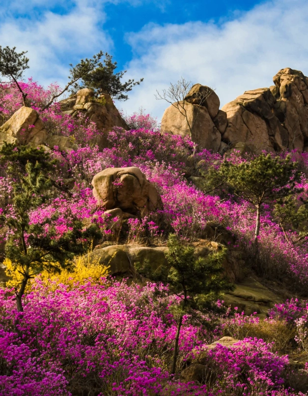 mount tai day trip from jinan