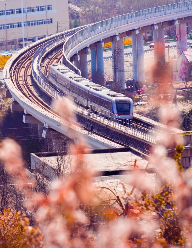 Shandong travel guide for foreigners