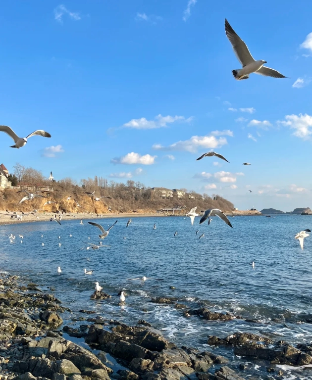 Dalian things to do