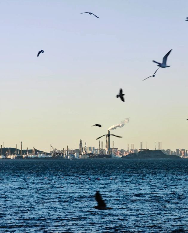 Dalian attractions