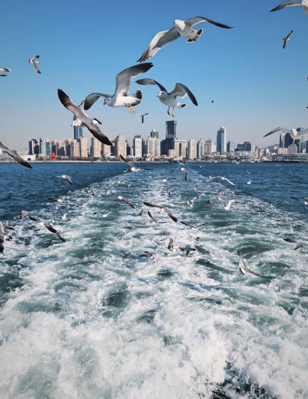 Shandong travel guide