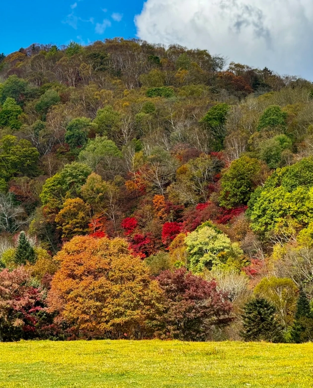 Jilin Travel Guide: Where to Go Beyond Changbai Mountain