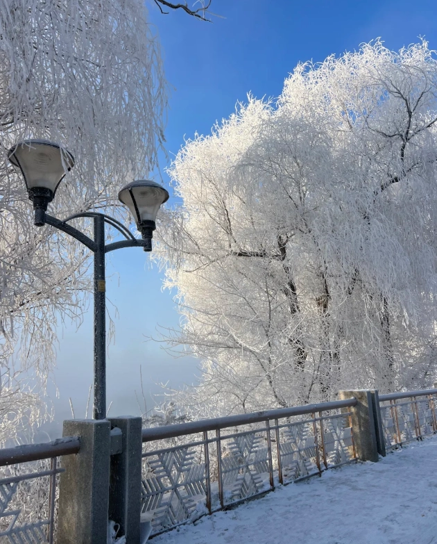 what to do at night in jilin