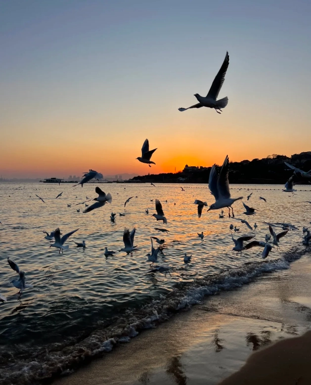 Shandong travel guide for foreign tourists