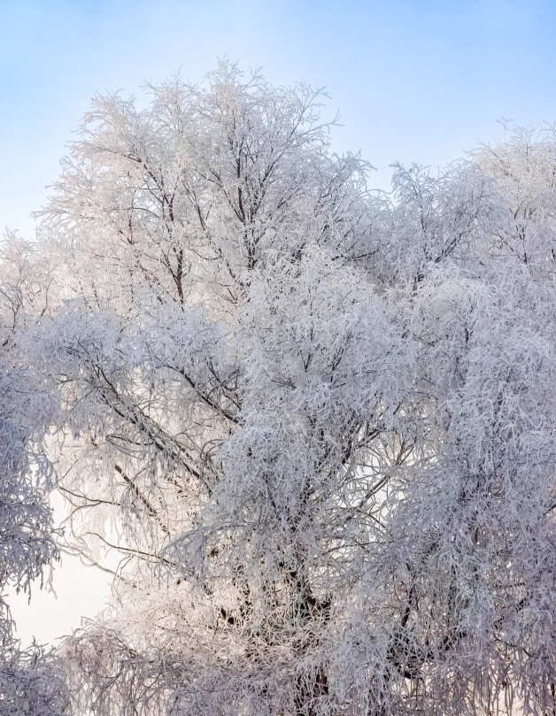 Jilin tour guide cost