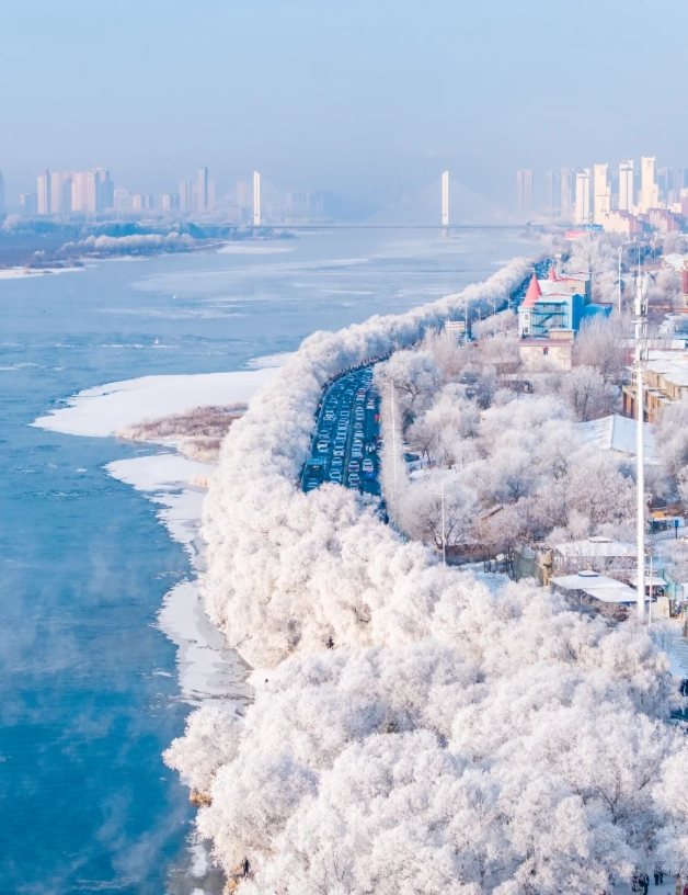 Jilin English Speaking Guide: Hire, Costs, and Scam Traps