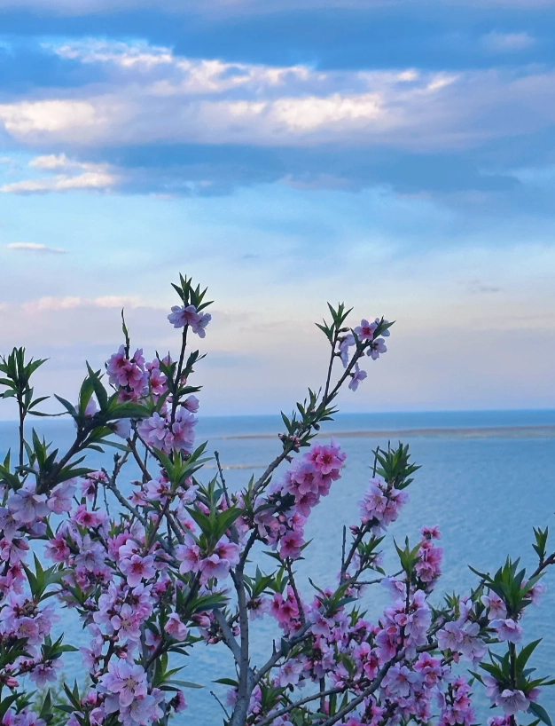 Changbai Mountain tour from Changchun Changbai Mountain tour from Changchun