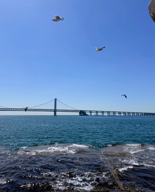 Dandong private driver tour