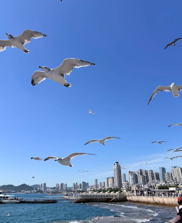 Dalian seaside itinerary