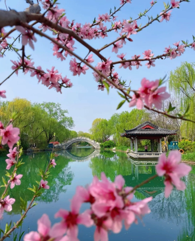 shandong itinerary shandong itinerary