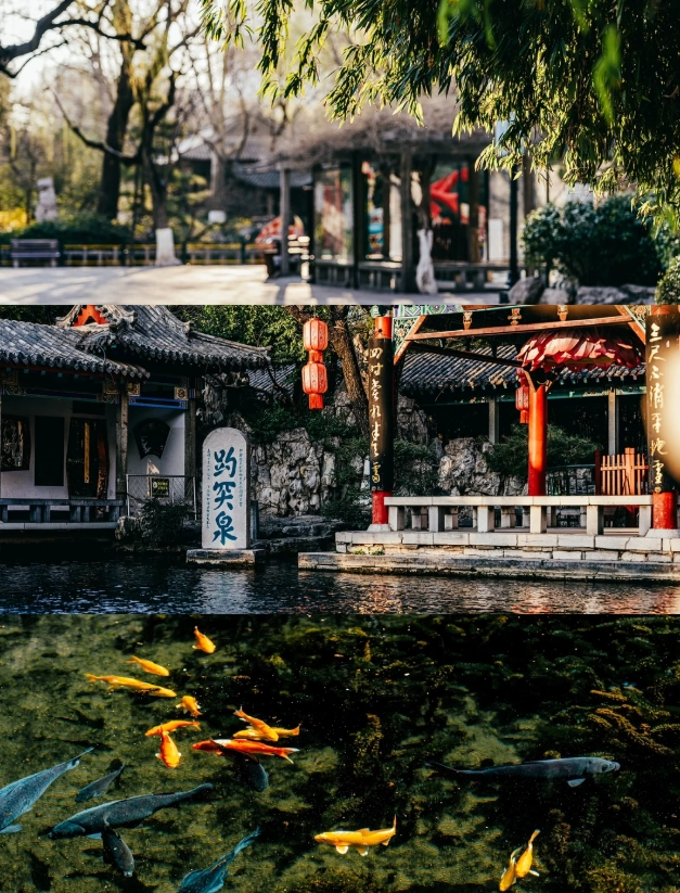 shandong itinerary with kids
