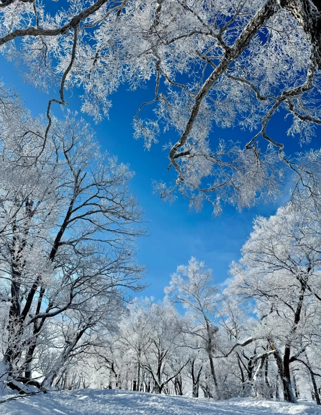 Changbai Mountain travel guide