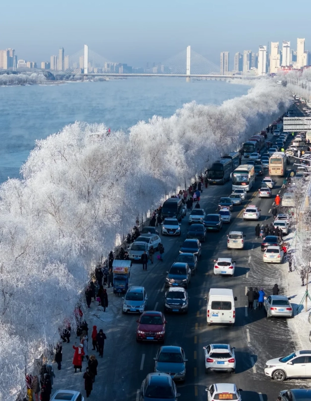 Jilin rime ice viewing Jilin rime ice viewing