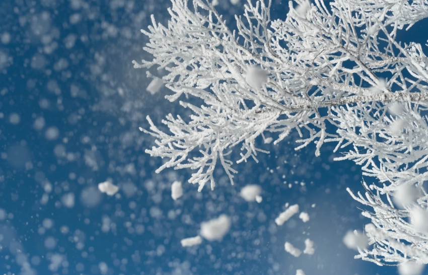 changbai mountain winter travel