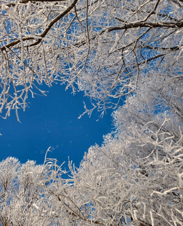 rime ice jilin city