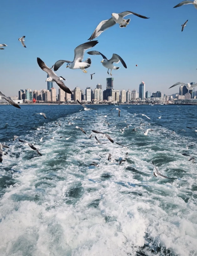 Shandong travel tips for foreigners