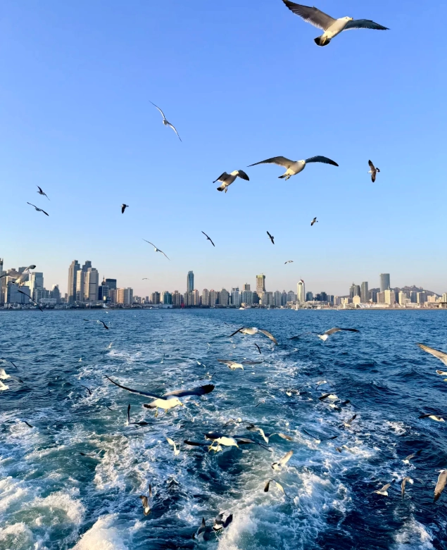 Shanghai to Shandong Itinerary: 7 Days by High-Speed Rail