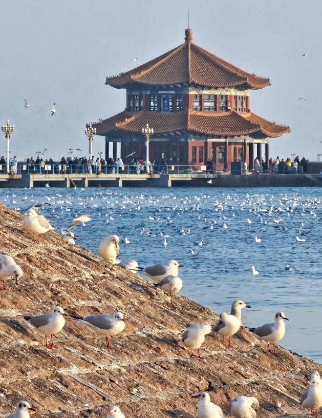Mount Tai day trip
