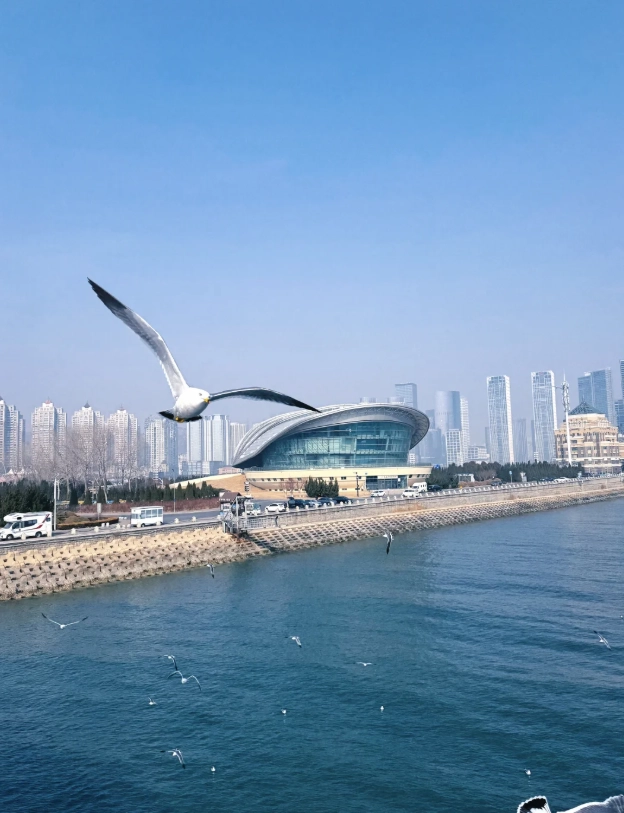dalian binhai road coastal drive