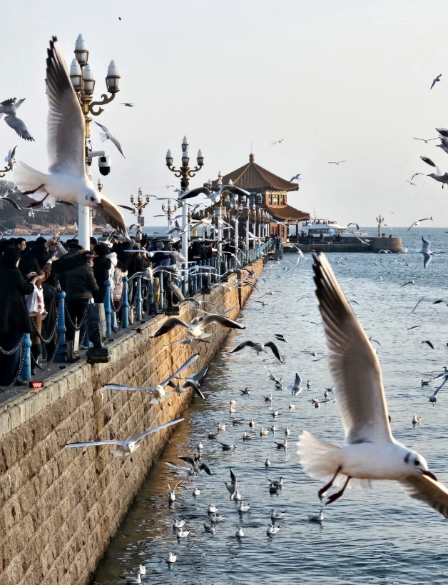 best time to visit Shandong