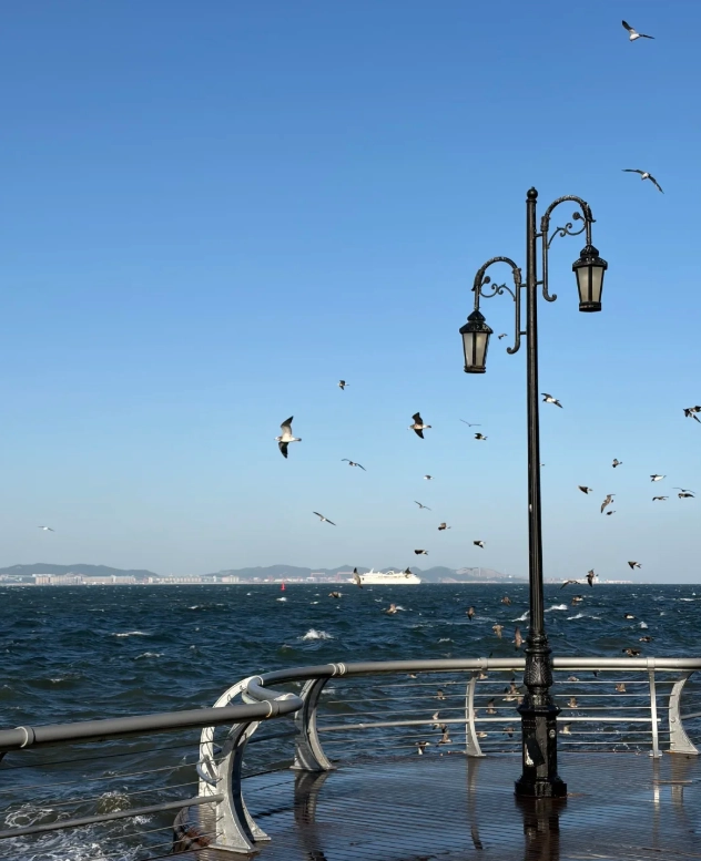 dalian binhai road coastal drive