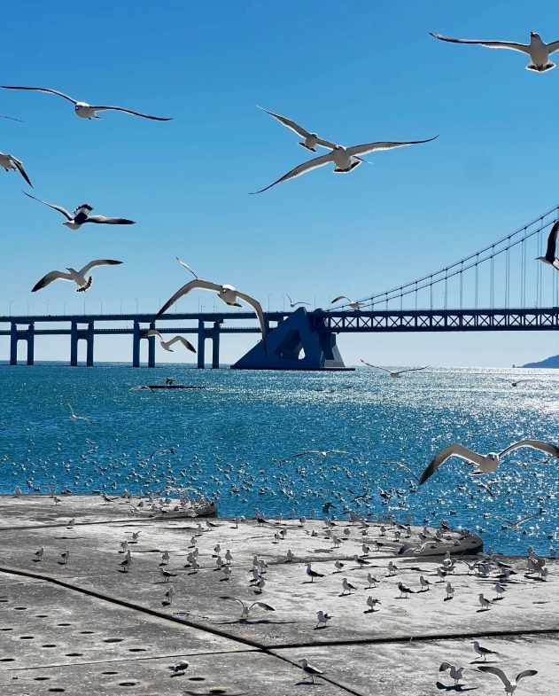 liaoning safety tips