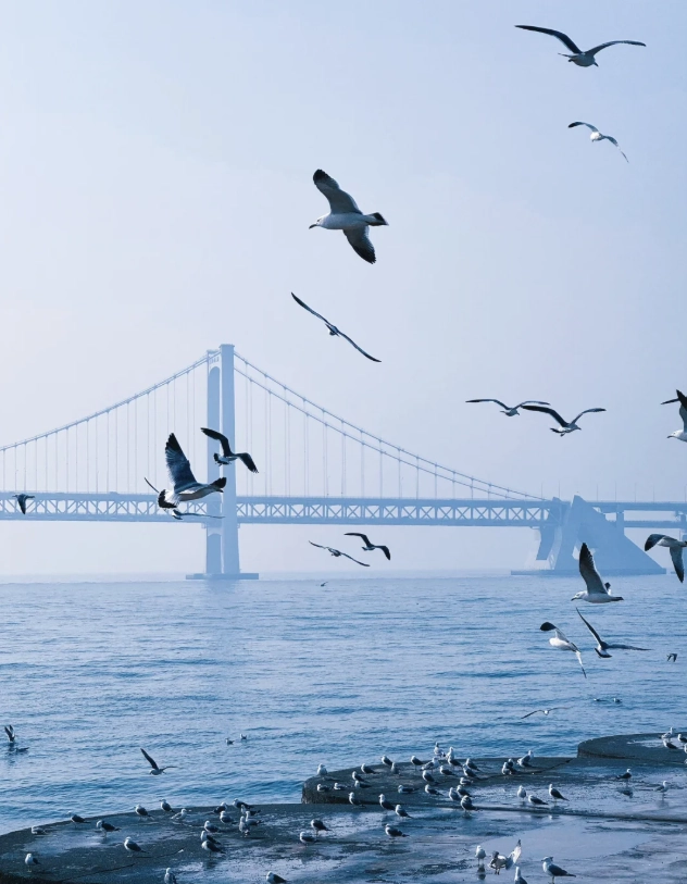 liaoning travel itinerary