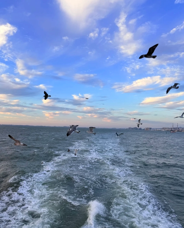Qingdao Jiaodong airport guide