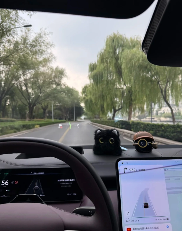 rent a car in Shandong