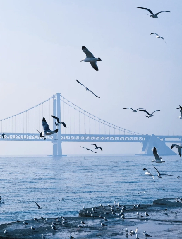 Dalian and Dandong itinerary