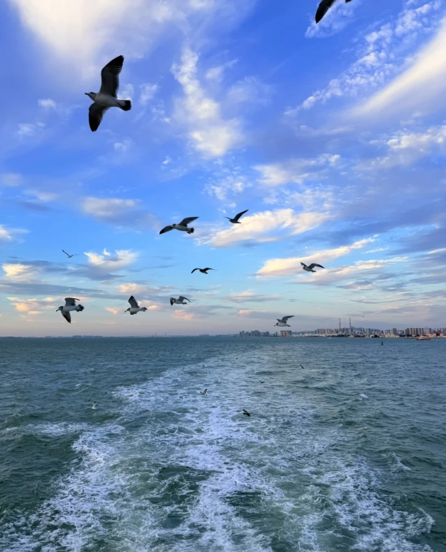Shandong Airport Layover: How to See Qingdao in 8 Hours