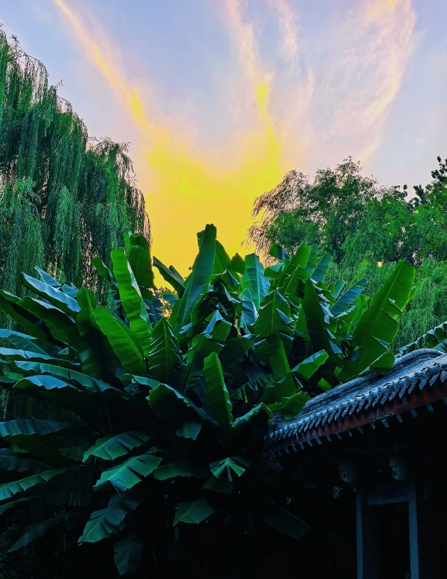 Shandong travel tips for foreigners