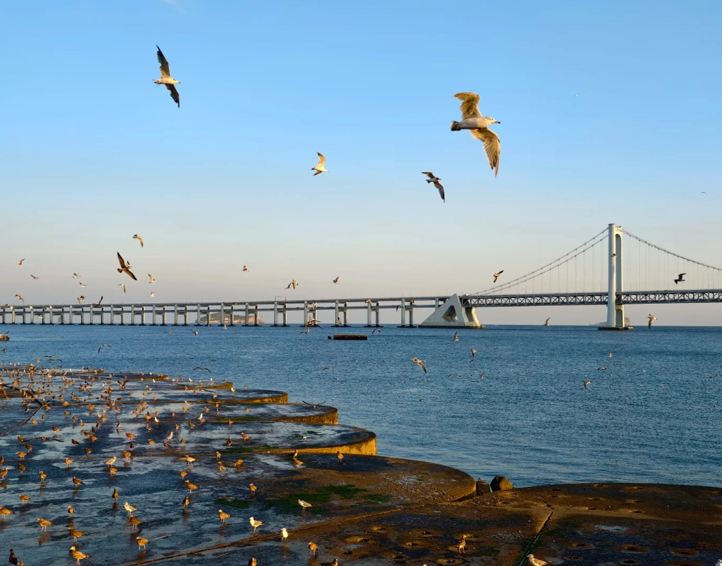 Dalian seafood guide for foreigners