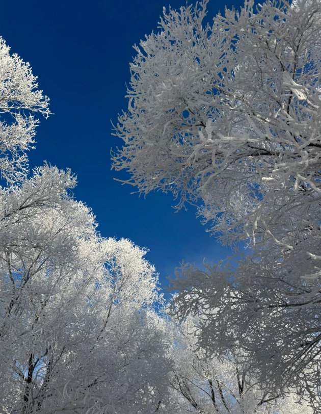 jilin rime ice