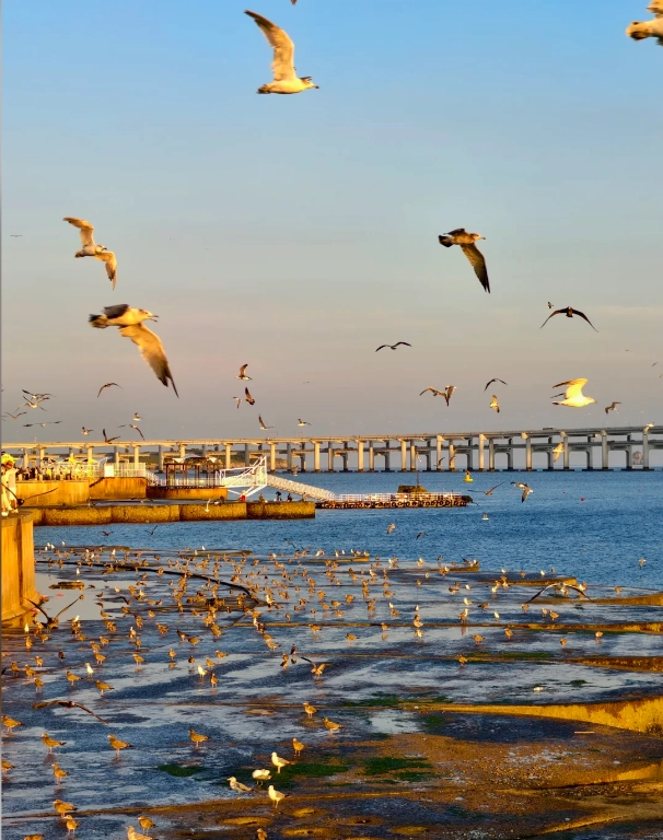 Liaoning travel route by train