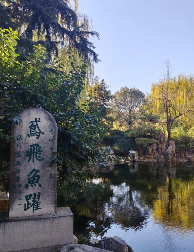 Shandong travel tips for foreigners