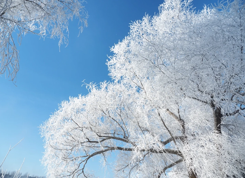 Changbai Mountain car hire with driver