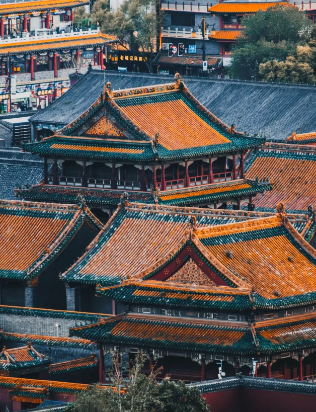 Dandong ginkgo street
