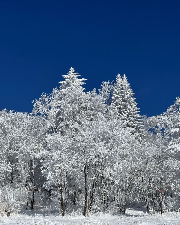 Jilin private driver: Costs, Booking & Route Truths