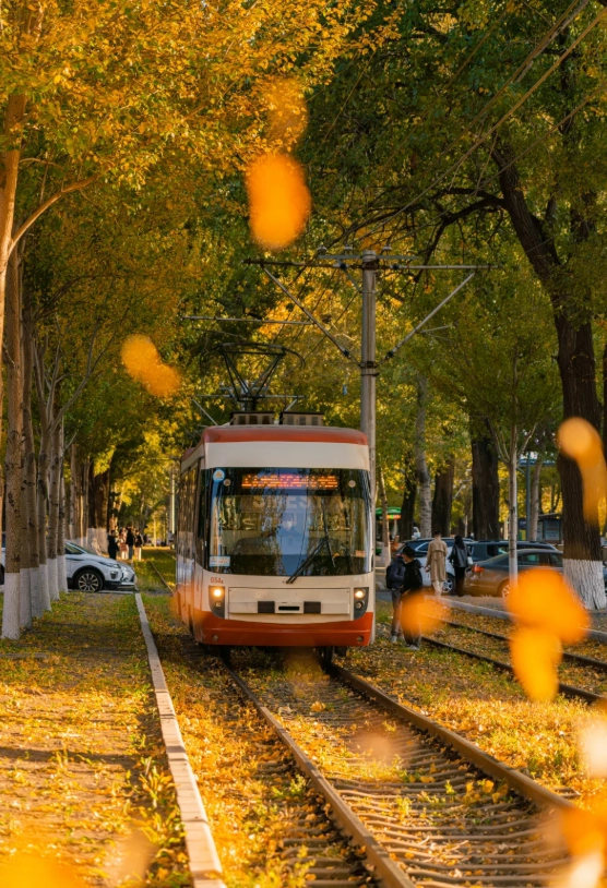 English speaking driver Jilin